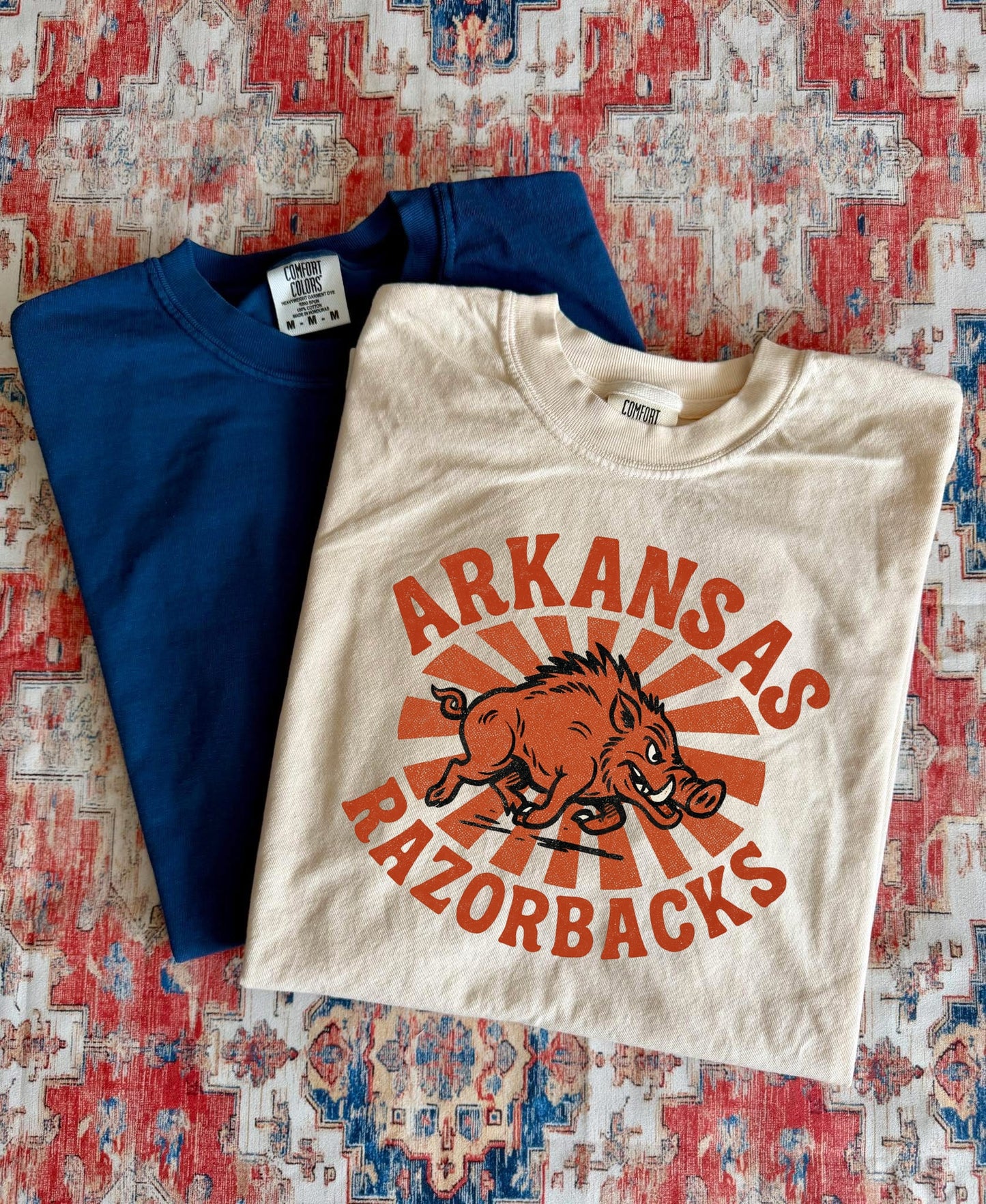 VINTAGE FIERCE ARKANSAS - DTF TRANSFER