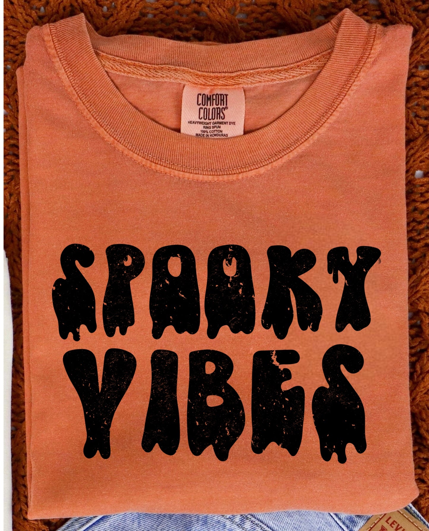 SPOOKY VIBES - DTF TRANSFER