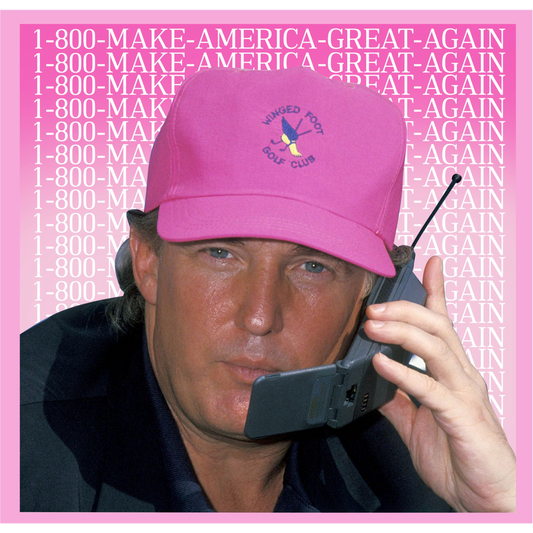 1-800 MAKE AMERICA GREAT- DTF TRANSFER