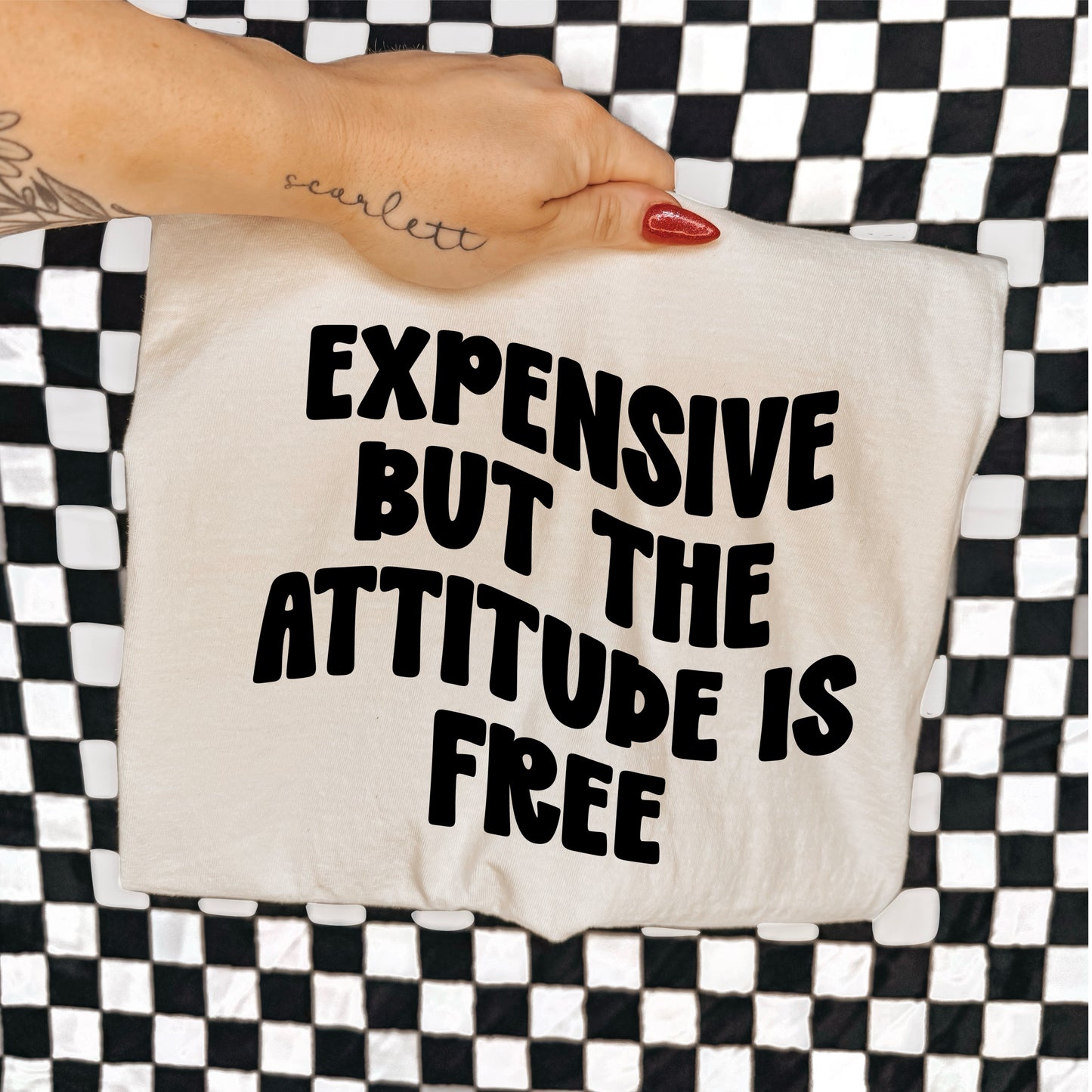 EXPENSIVE BUT THE ATTITUDE IS FREE - DTF TRANSFER