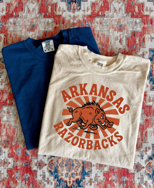 VINTAGE FIERCE ARKANSAS - DTF TRANSFER