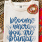 BLOOM WHERE YOU ARE PLANTED - DTF TRANSFER