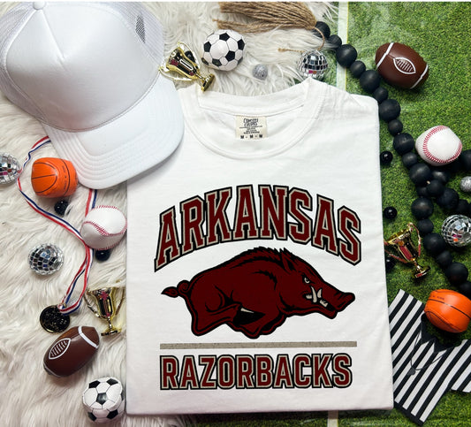 BOLD COLOR ARKANSAS RAZORBACKS - DTF TRANSFER