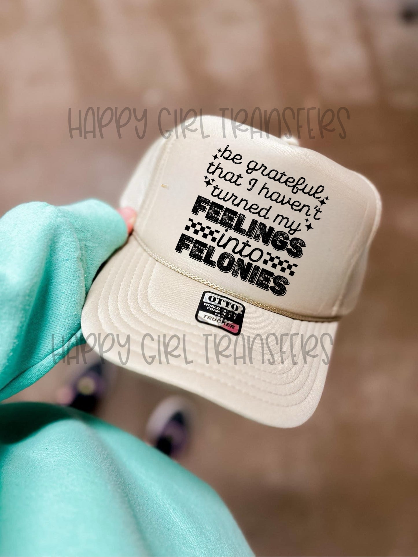 BE GRATEFUL THAT I HAVEN’T TURNED MY FEELINGS INTO FELONIES - DTF TRANSFER