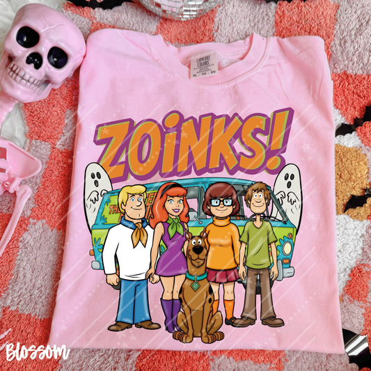 ZOINKS - DTF TRANSFER
