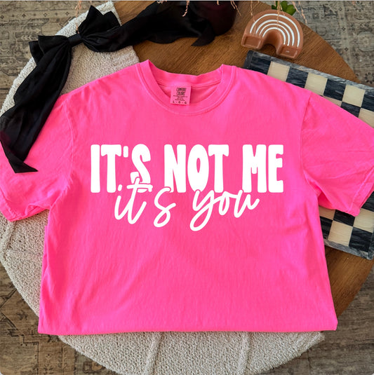 IT’S NOT ME, IT’S YOU - DTF TRANSFER