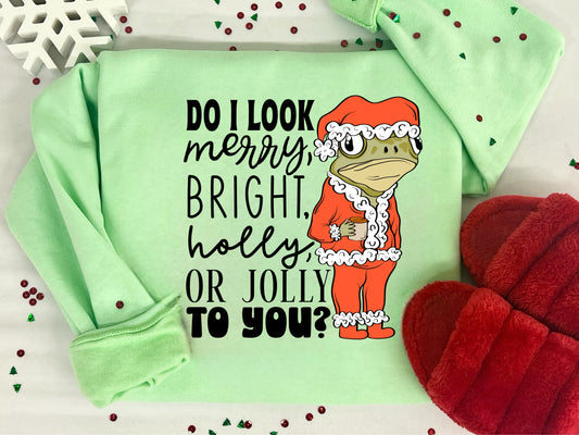 DO I LOOK MERRY, BRIGHT, HOLLY IT JOLLY YO YOU - DTF TRANSFER