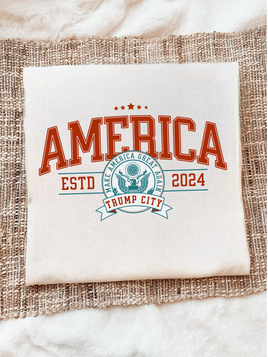 AMERICA TRUMP CITY - DTF TRANSFER