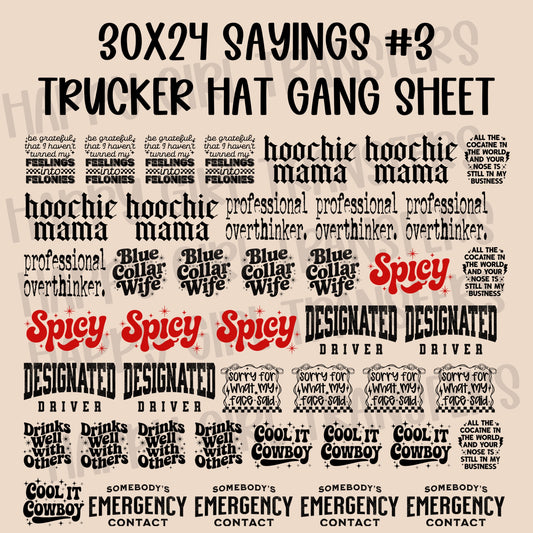 30x24 SAYINGS #3 PRE-MADE TRUCKER HAT GANG SHEET